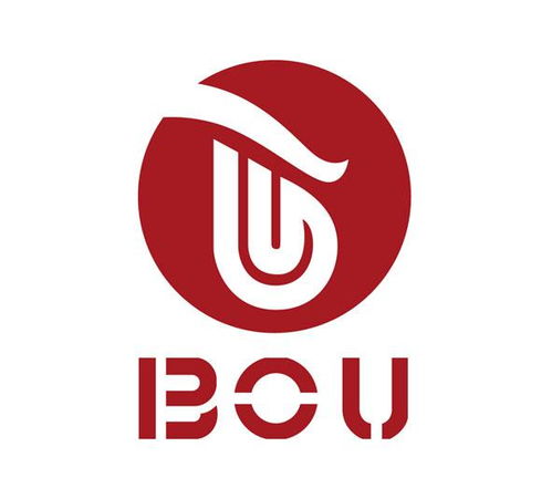 BOU商標在第16類（辦公用品）的注冊狀態查詢指南與信息解析